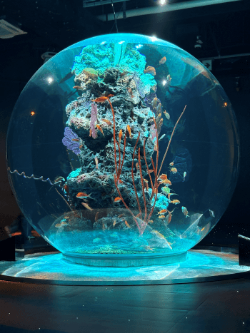 aqualium