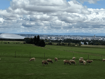 farm