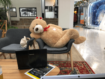 kuma