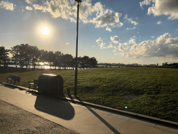 park