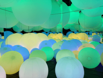 teamlab2